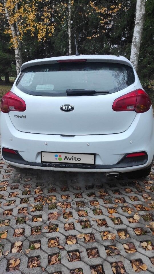 Kia Ceed: фото владельца