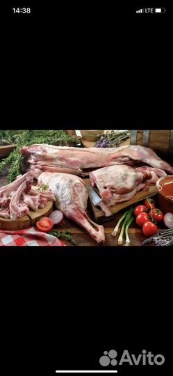 Мясо
