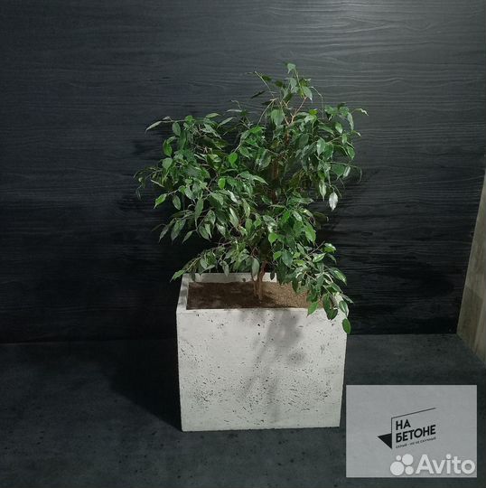 Кашпо, Вазоны, горшки для цветов