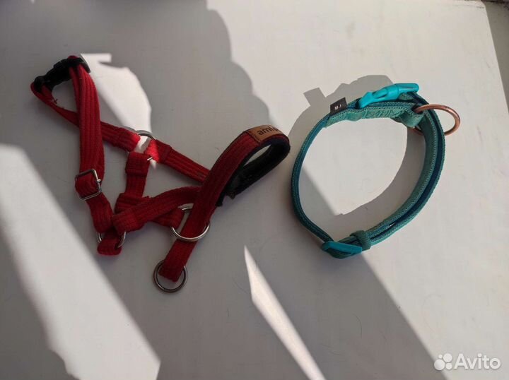 Ошейники, поводки для собак. Амуниция