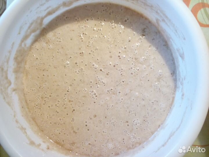 Закваска для хлеба и кваса ржаная