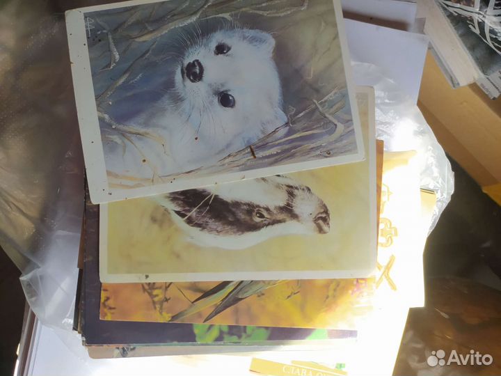 Открытки СССР