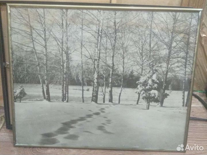 Лот картины и фото СССР винтаж