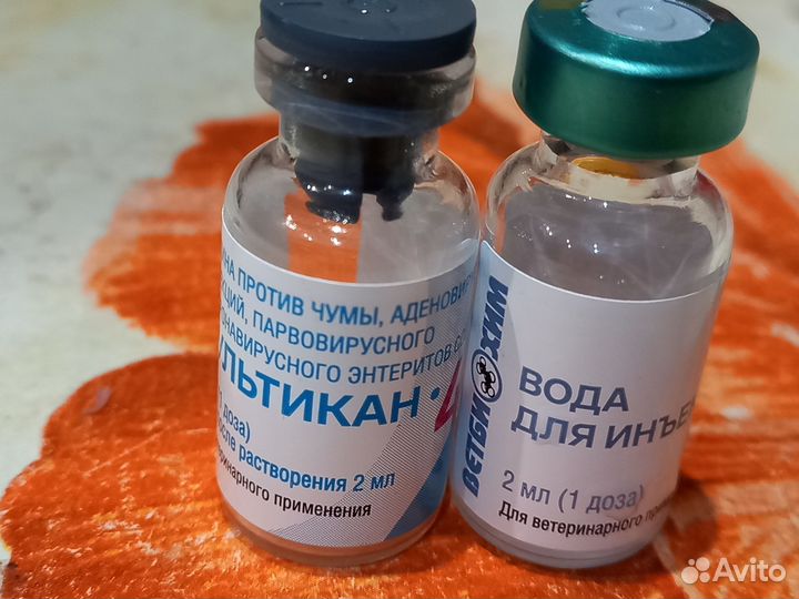 Щенки немецкой овчарки