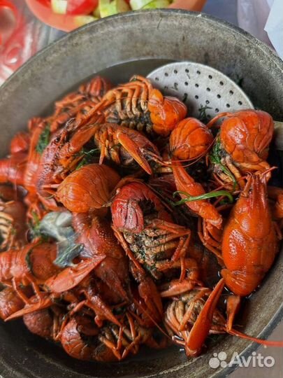 Саратовские раки юао