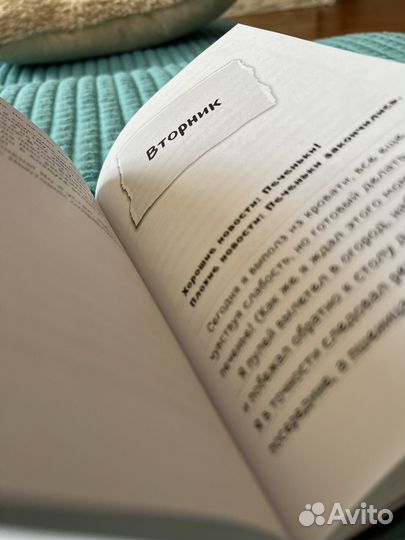 Майнкрафт.Дневник Стива оцелот на оцелоте