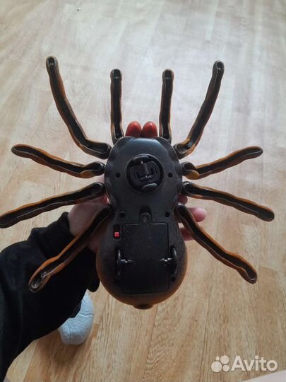 Паук на радиоуправлении