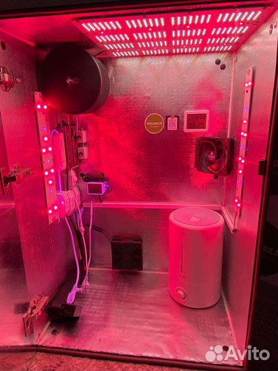 Гроубокс, growbox, тумба, stelsbox, корпус