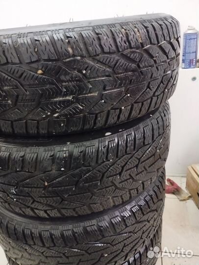 Tigar Winter 205/55 R16 94H