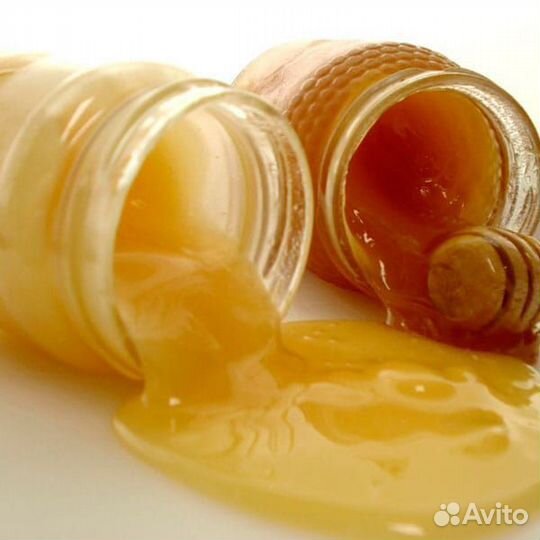 Мёд и продукты пчеловодства