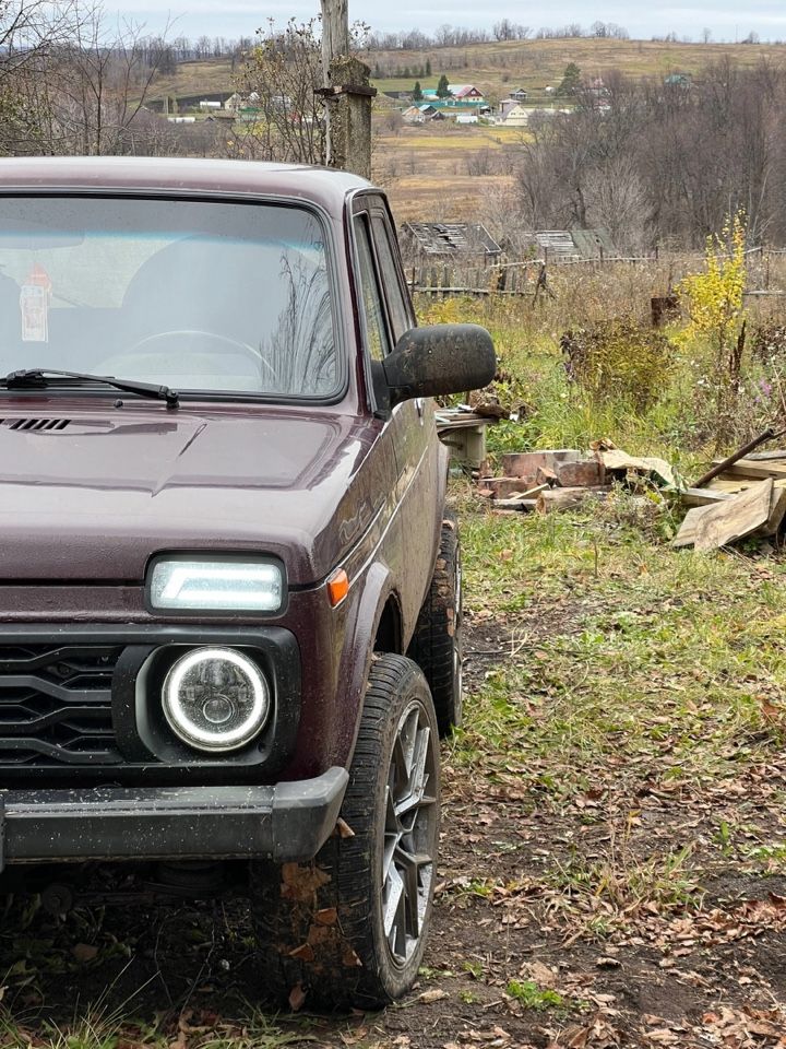 ВАЗ (LADA) 4x4 (Нива): фото владельца
