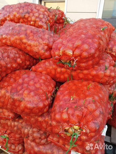 Лук на перо оптом