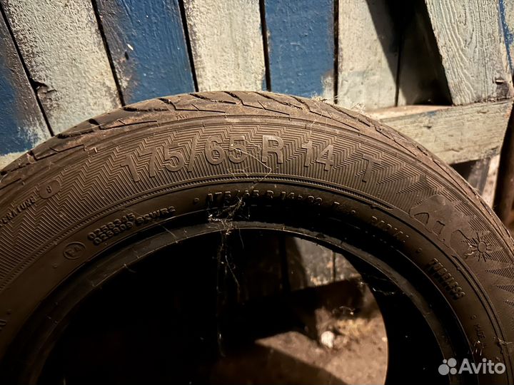 Gislaved ArcticControl 175/65 R14