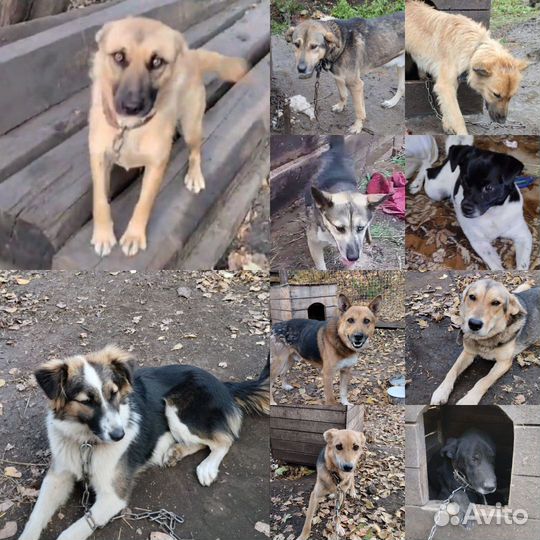 Помогите умоляю