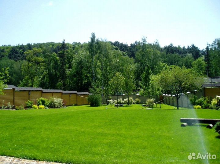 Рулонный газон от производителя - укладка