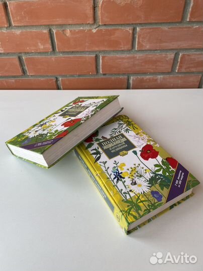 Энциклопедия народной медицины