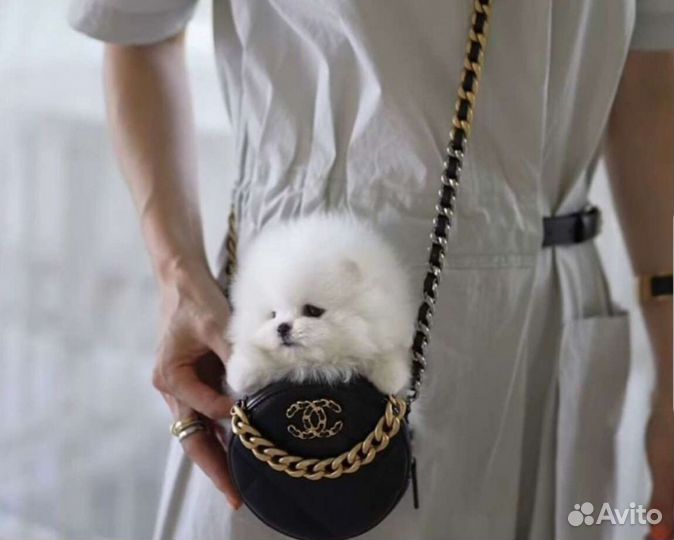 Красотулички