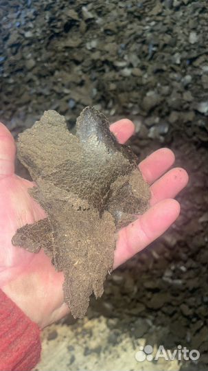 Жмых подсолнечный