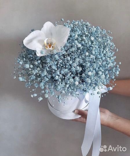 Букет из гипсофилы Доставка Цветы гипса №12