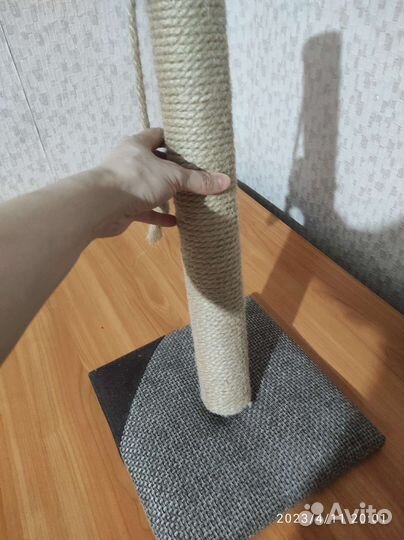 Когтеточка