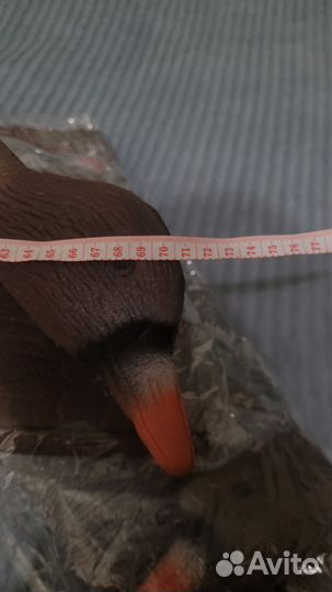 Утки подсадные для охоты