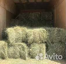 Сено в тюках