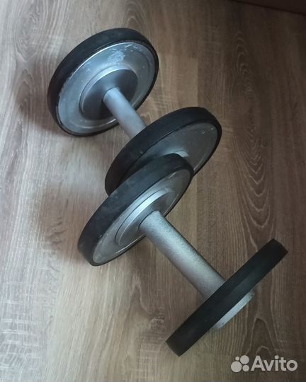 Гантели разборные