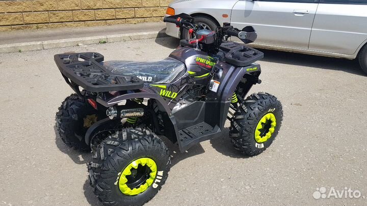 Wild 125 Lux(2023)