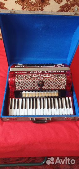 Аккордеон