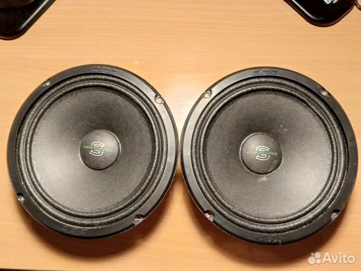 Динамики 16 sylvester