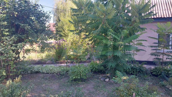 Дом 41,2 м² на участке 17,5 сот.