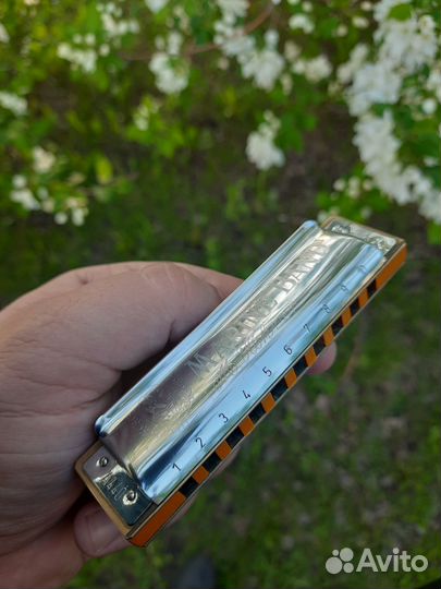 Губная гармошка Hohner