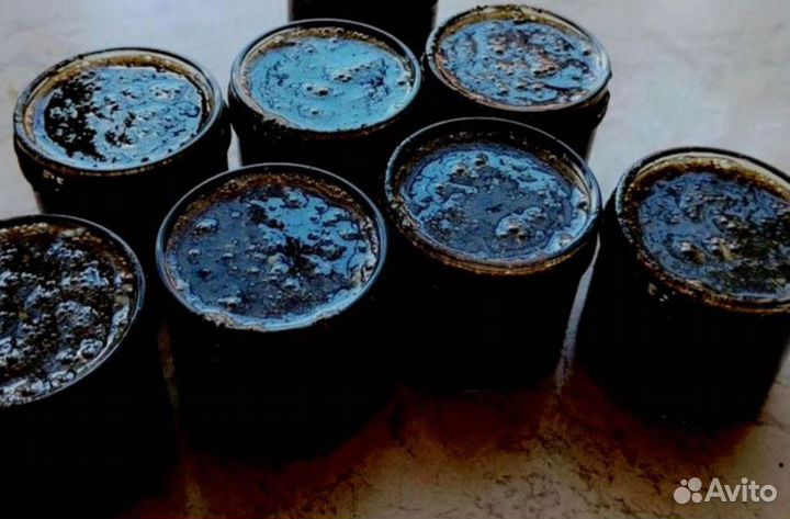 Трибулус для мужчин