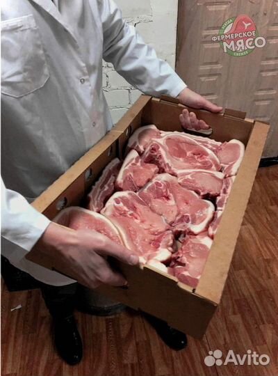 Мясо свинина