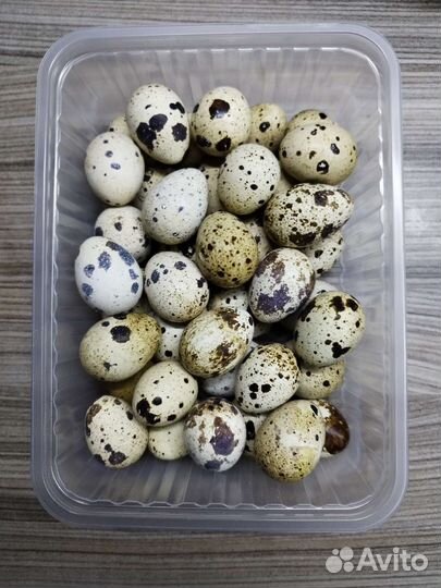 Яйца перепелиные домашние