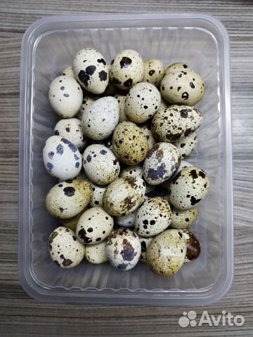 Яйца перепелиные домашние