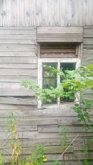 Участок 10 сот. (СНТ, ДНП)