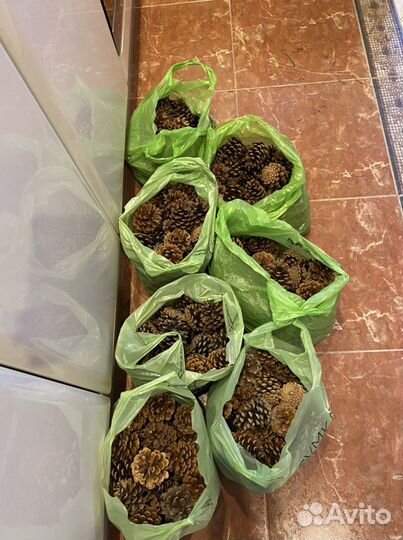 Шишки отборные сосны Крымской для (поделок, декора