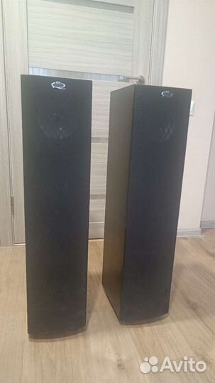 Колонки напольные KEF Q55.2