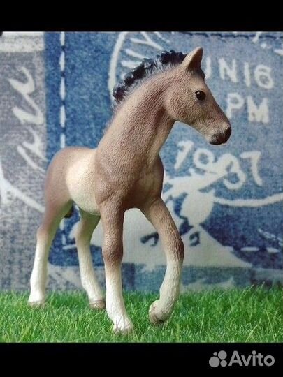 Жеребёнок шляйх