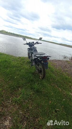 Зид 250