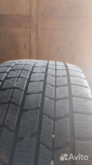 Dunlop All Season Maxx AS1 205/55 R16 91