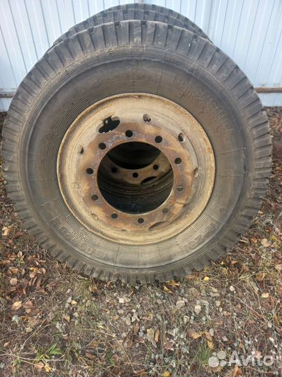 Омскшина И-281, У-4 10.00/20 101C