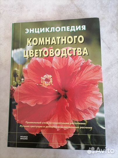 Комнатное цветоводство / комнатные растения