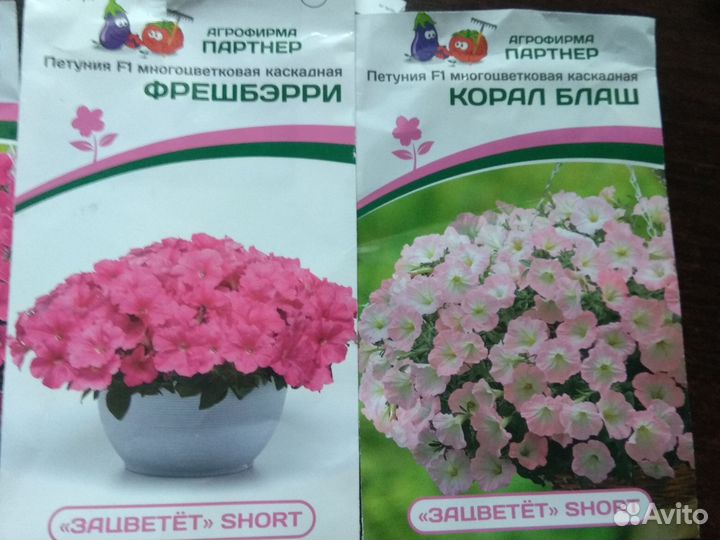 Петуния каскадно-ампельная