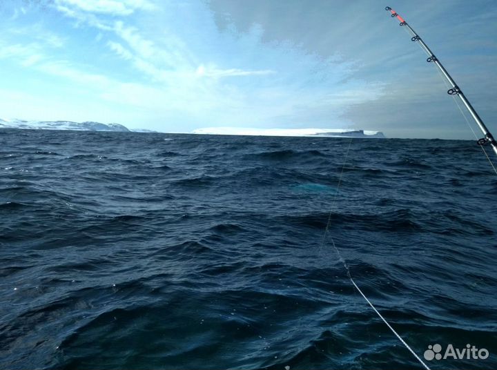 Рыбалка на Баренцевом Море