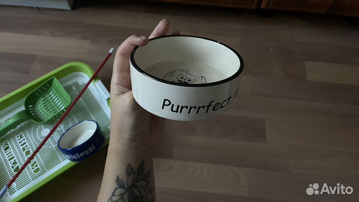 Лоток для кошек, совок, 2 миски, игрушка