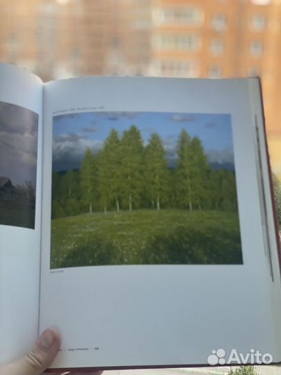Книга Образ Родины