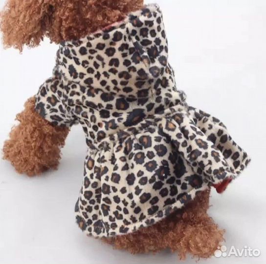 Одежда для собаки
