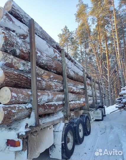 Пиловочник Деловой Кругляк